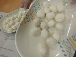 CIMG0489 - コピー.JPG